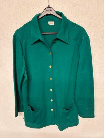 Supermooi groen vest beschikbaar voor biedingen
