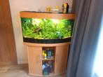 Te koop mooi Juwel aquarium, Ophalen, Zo goed als nieuw, Gevuld zoetwateraquarium