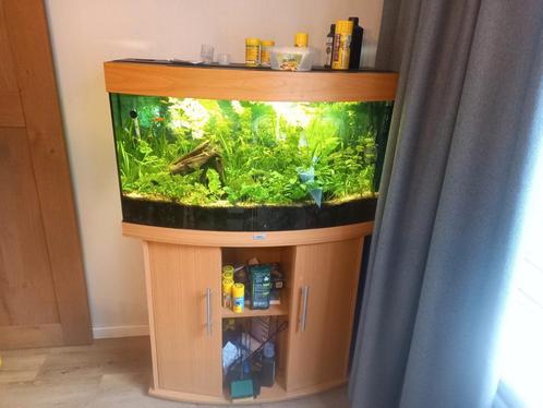 Te koop mooi Juwel aquarium, Dieren en Toebehoren, Vissen | Aquaria en Toebehoren, Zo goed als nieuw, Gevuld zoetwateraquarium