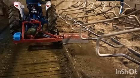 Frees voor ligboxen boxen vlakker diepstrooisel lig box, Dieren en Toebehoren, Stalling en Weidegang