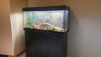 Mooi juwel aquarium 100x40x50 (200 liter), Dieren en Toebehoren, Vissen | Aquaria en Toebehoren, Ophalen of Verzenden, Zo goed als nieuw