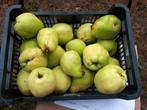 Kweeperen, biologisch eigen boom, Diversen, Levensmiddelen, Ophalen of Verzenden