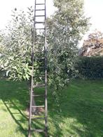 fruitladder, Ophalen, Gebruikt, Ladder, 2 tot 4 meter