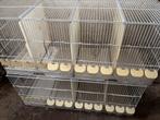 Kweekkooi-broedkooi-uitvliegkooi-draadkooi, Dieren en Toebehoren, Vogels | Hokken en Kooien, Ophalen of Verzenden, Zo goed als nieuw
