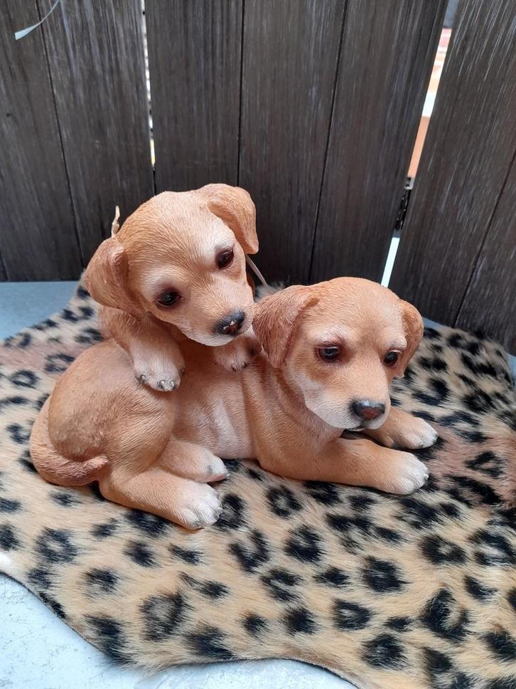 Honden beeldje 15 x 15 cm, Tuin en Terras, Tuinbeelden, Ophalen of Verzenden