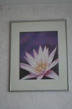 mooie oud schilderij, Antiek en Kunst, Kunst | Schilderijen | Klassiek, Ophalen of Verzenden