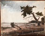 Joop Burger: landschap, Antiek en Kunst, Ophalen of Verzenden