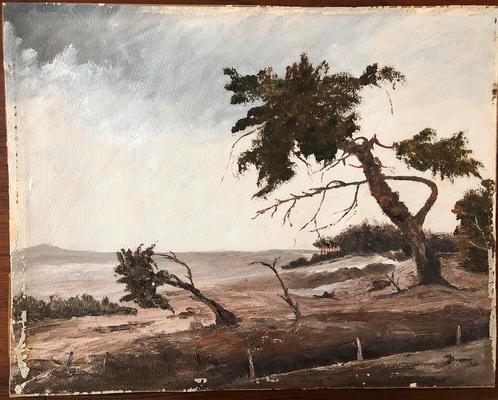 Joop Burger: landschap, Antiek en Kunst, Kunst | Schilderijen | Modern, Ophalen of Verzenden