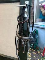 Shetlandhoofdstel, zga nieuw met watertrensje/springteugel, Dieren en Toebehoren, Ophalen of Verzenden, Zo goed als nieuw, Recreatie