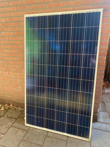 270 wp zonnepanelen beschikbaar voor biedingen