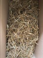 Stro voor bijv een konijn, Dieren en Toebehoren, Dierenvoeding, Ophalen, Knaagdier of Konijn