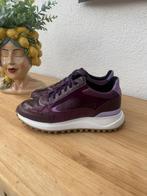 Luxe sneakers  Floris van Bommel, Floris van Bommel, Verzenden, Nieuw