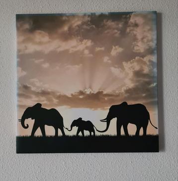 Olifanten Print op Houten Lijst 40x40 beschikbaar voor biedingen