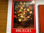 T.K. nog 1 boek over Pieter Brueghel en Jan Brueghel, Ophalen of Verzenden, Gelezen, Schilder- en Tekenkunst