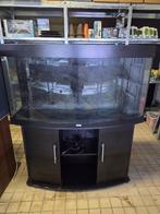Juwel vision 260 zwart met kast compleet, Dieren en Toebehoren, Vissen | Aquaria en Toebehoren, Ophalen, Gebruikt, -, -