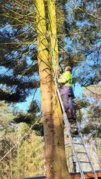A-zaagteam haardhout/hout/boom omzagen/bomen zagen/, Diensten en Vakmensen, Tuinmannen en Stratenmakers, Tuinonderhoud of Snoeiwerk
