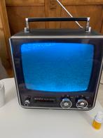 Sony vintage TV solid state fully working mint 1960 220v+12v, Ophalen of Verzenden