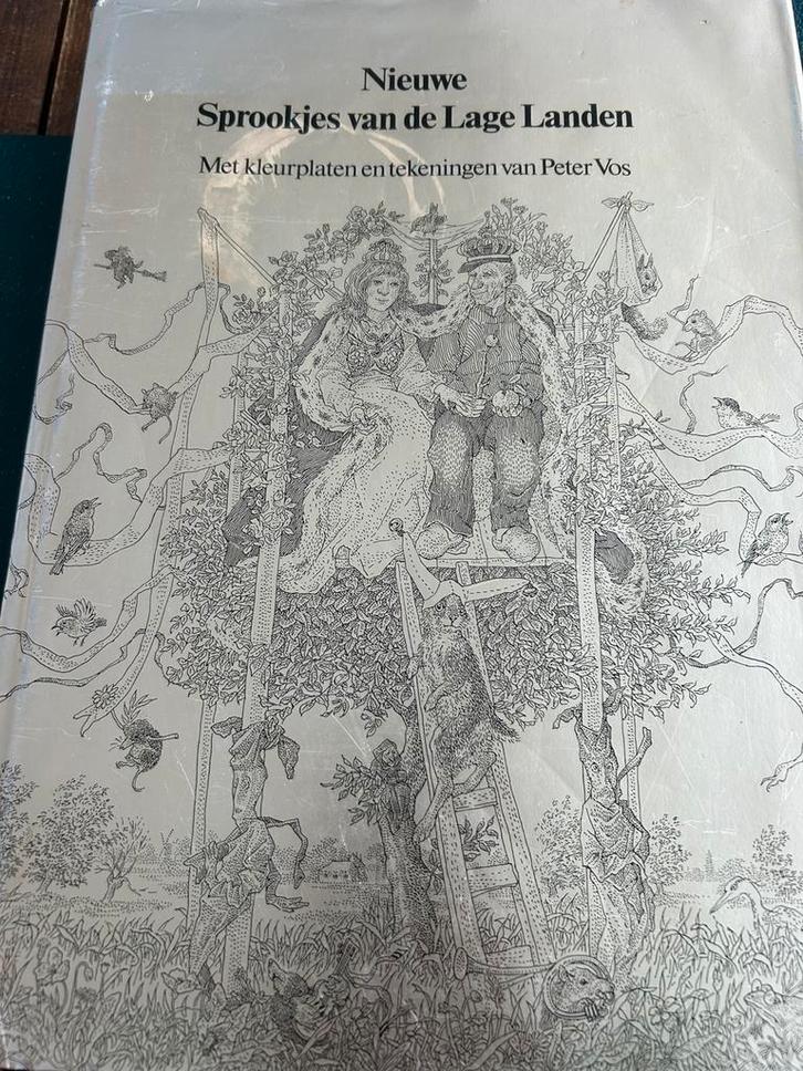 GROTE NIEUWE SPROOKJES VAN DE LAGE LANDEN, Boeken, Kinderboeken | Jeugd | onder 10 jaar, Gelezen, Ophalen of Verzenden