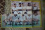 panini voetbal 90, Ophalen of Verzenden, Gebruikt