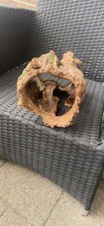 Houten boom, Dieren en Toebehoren, Vissen | Aquaria en Toebehoren, Ophalen, Plant(en), Steen of Hout