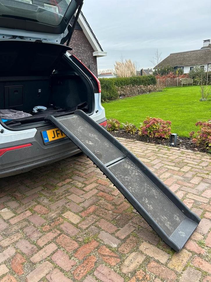 Inklapbare loopplank voor hond, Auto diversen, Hondenrekken, Gebruikt, Ophalen