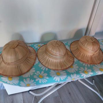 3 tropenhelmen beschikbaar voor biedingen