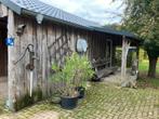 Hout, Doe-het-zelf en Verbouw, Hout en Planken, Ophalen, 50 mm of meer, Balk, Minder dan 200 cm