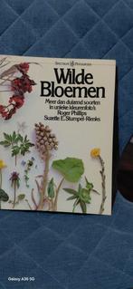 Wilde Bloemen - Spectrum Natuurgids, Ophalen of Verzenden, Gelezen, Bloemen, Planten en Bomen, Roger Phillips