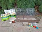 Alles voor je eerste konijn of cavia! Helemaal compleet!, Dieren en Toebehoren, Cavia, Hok, Ophalen, Minder dan 60 cm