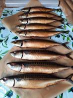 Vissen, Ophalen of Verzenden, Overige typen