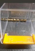 Bing/Dellorto sproeiers 8 stuks, Ophalen of Verzenden, Nieuw, Carburateur