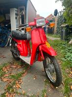 Honda Scoopy SH50 project scooter, Ophalen, Gebruikt, Overige modellen, Maximaal 45 km/u