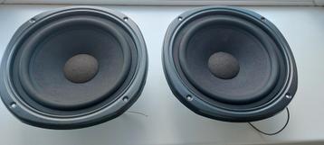 Magnat all ribbon 8 inch woofers  beschikbaar voor biedingen