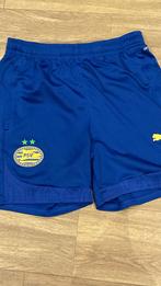 PSV Junior Tenue Korte Broek Maat 176, Blauw, Overige maten, Ophalen of Verzenden, Zo goed als nieuw