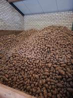 Aardappelen Bintje, Ophalen of Verzenden