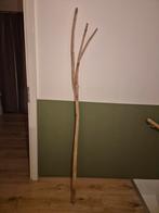 Decoratieve tak (hazelaar), Ophalen, Wandkapstok, Minder dan 100 cm