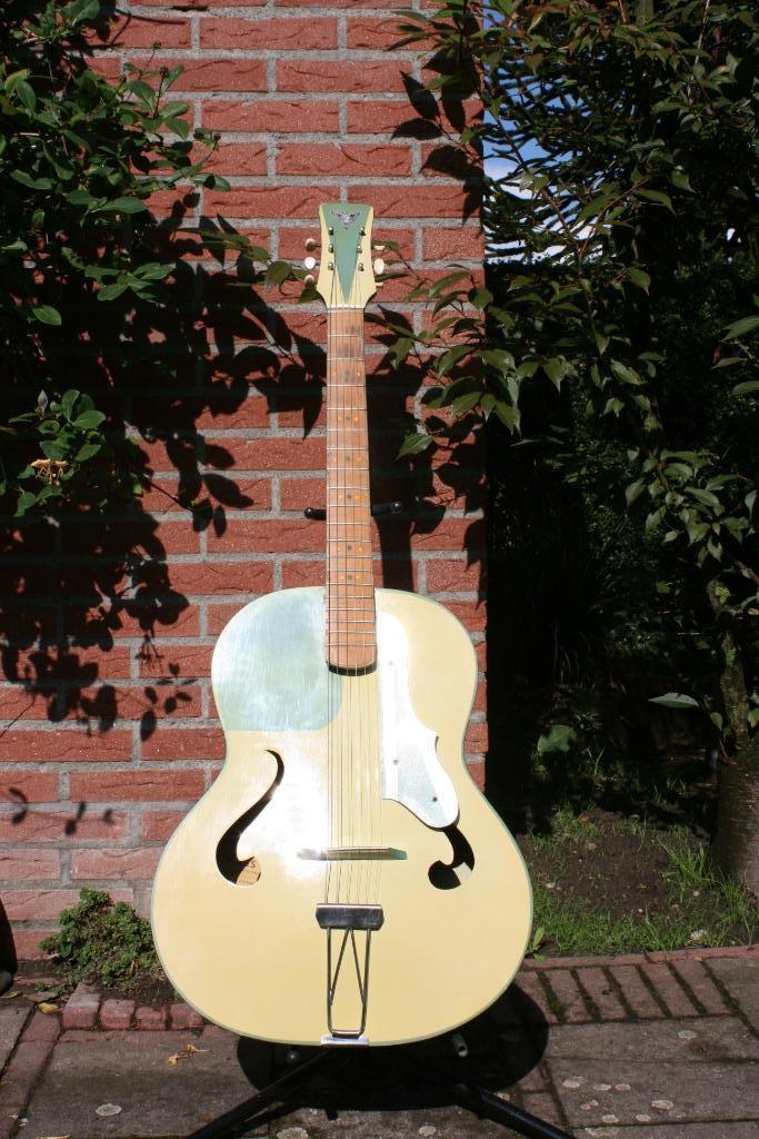 Unieke Ross Jazz gitaar, Muziek en Instrumenten, Snaarinstrumenten | Gitaren | Akoestisch, Gebruikt, Overige typen, Ophalen of Verzenden