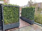 Planten bakken op maat en  groenblijvende haag, Nieuw, Ophalen of Verzenden, 60 cm of meer, Rechthoekig