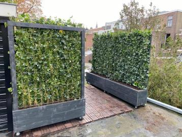 Planten bakken op maat en  groenblijvende haag beschikbaar voor biedingen