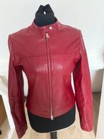 Prachtige leren jas rood leather biker jas 34/36, Ophalen of Verzenden, Zo goed als nieuw, Maat 34 (XS) of kleiner, Rood