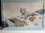 Schilderij print., Antiek en Kunst, Ophalen