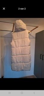 Bodywarmer crème, Kleding | Dames, Bodywarmers, Ophalen of Verzenden, Zo goed als nieuw, Maat 38/40 (M), Beige