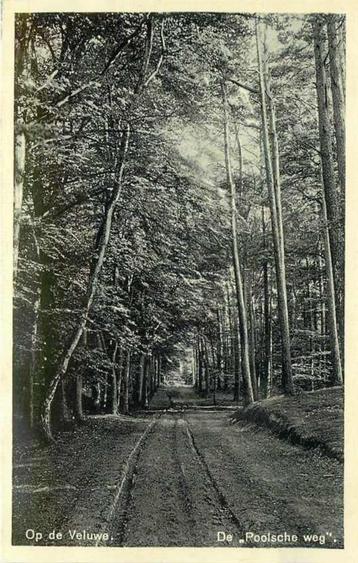 (377-648-021) Veluwe De Poolsche Weg beschikbaar voor biedingen