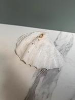 Doopvont schelp 20x13cm, Verzamelen, Ophalen of Verzenden