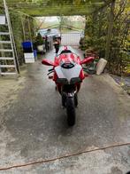 Ducati Superbike, 2 cilinders, Particulier, Meer dan 35 kW, Overig