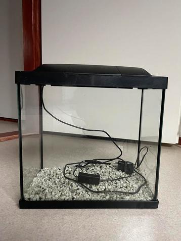 Klein aquarium 35x35x22  beschikbaar voor biedingen
