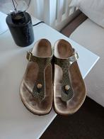 Birkenstock, Kleding | Dames, Slippers, Ophalen of Verzenden, Gedragen, Groen