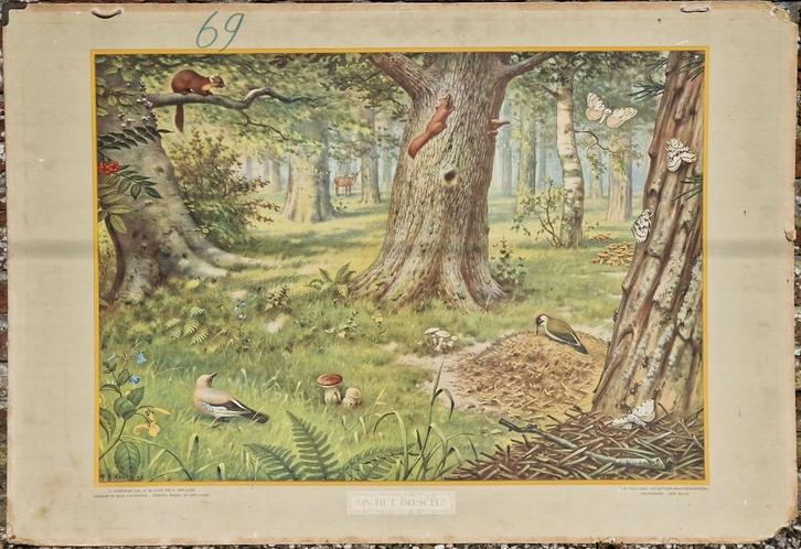 In het bosch / M.A. Koekkoek, Antiek en Kunst, Antiek | Schoolplaten, Natuur en Biologie, Ophalen