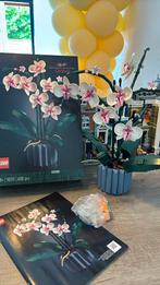 orchid 10311, Ophalen, Zo goed als nieuw