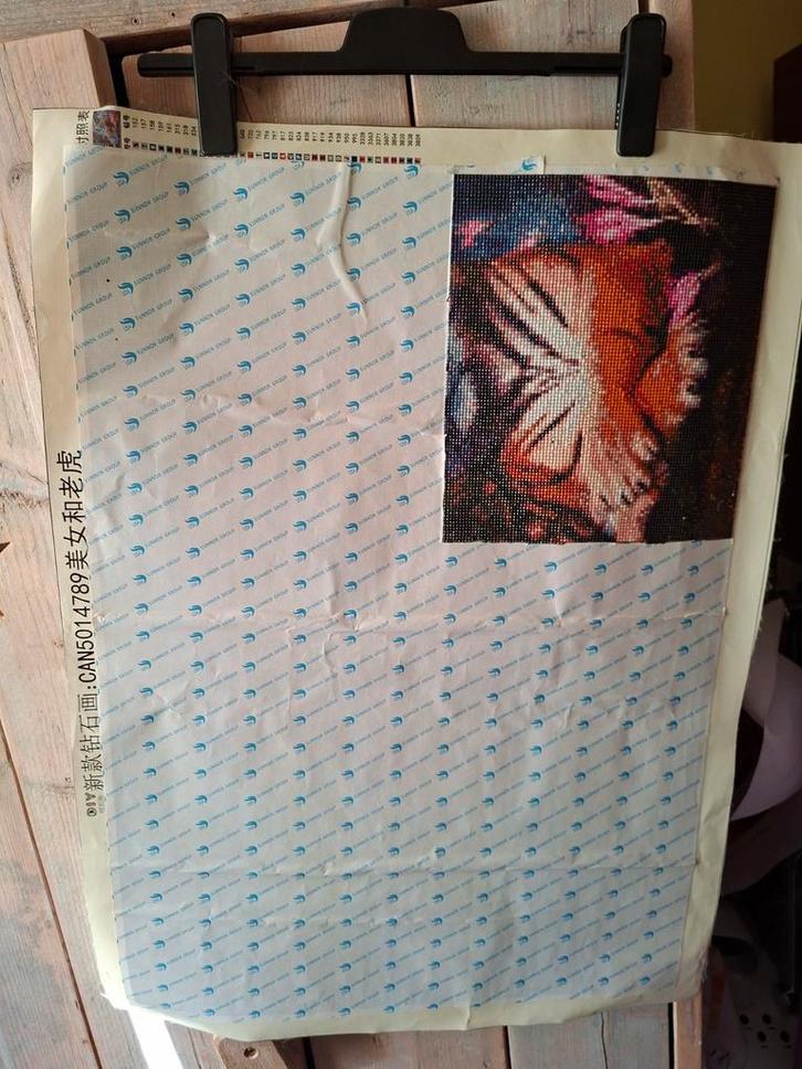 Diamond Painting - Tijger en Fee, Hobby en Vrije tijd, Knutselen, Gebruikt, Knutselwerk, Ophalen of Verzenden